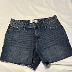 NWOT Hollister Dark Blue Denim Shorts